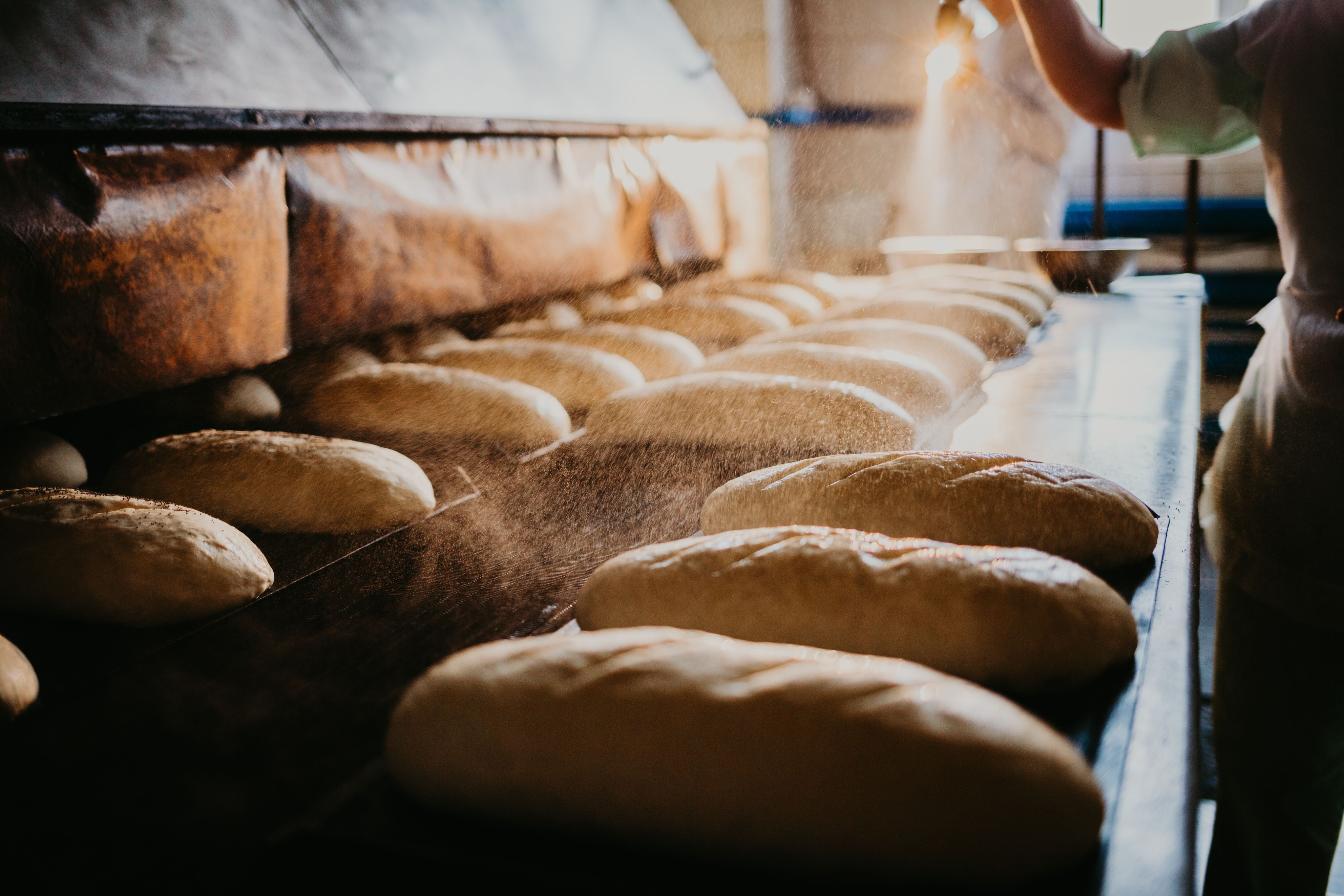 Pains biologiques au levain